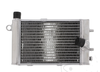 Radiador refrigeración moto APRILIA RSV 1000 MILLE / FUTURA